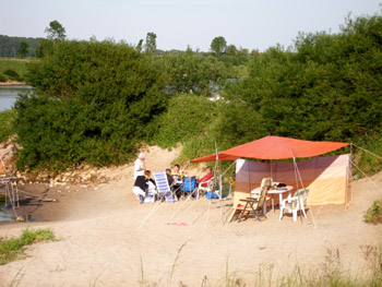 Baden0209